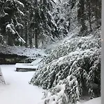 Logis Domaine Du Moulin Hotel