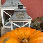 Logis Domaine Du Moulin ホテル サン・タヴォル