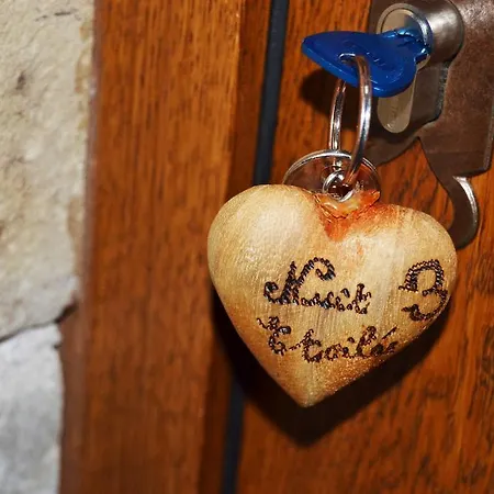 Logis Domaine Du Moulin מלון 4*