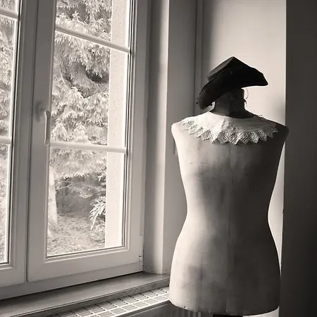 Logis Domaine Du Moulin 4* סנט-אבול