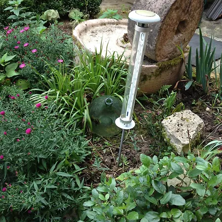 מלון Logis Domaine Du Moulin סנט-אבול