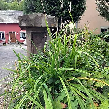 Logis Domaine Du Moulin 4* Saint-Avold