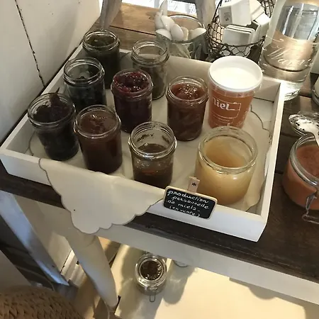 Logis Domaine Du Moulin 4* סנט-אבול