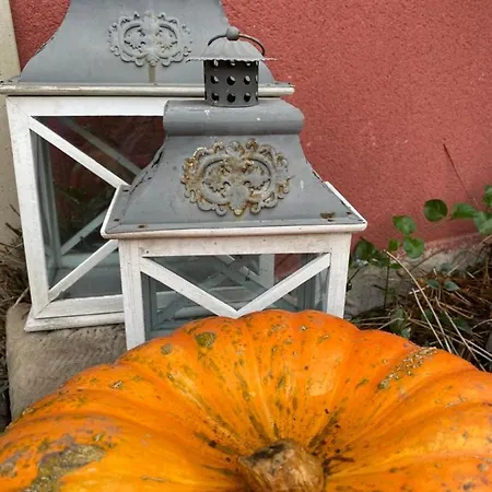 Logis Domaine Du Moulin מלון סנט-אבול