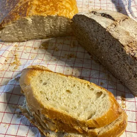 מלון Logis Domaine Du Moulin סנט-אבול