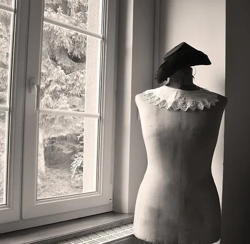 Logis Domaine Du Moulin 4* Saint-Avold