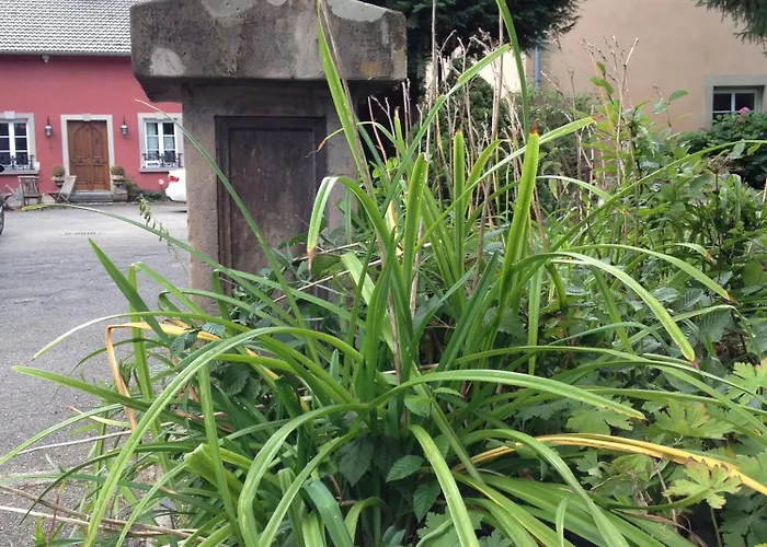 Hotel Logis Domaine Du Moulin 4*