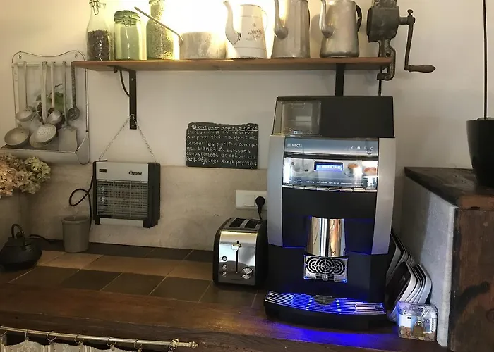 Logis Domaine Du Moulin 4*