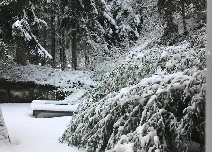 Logis Domaine Du Moulin Hotel