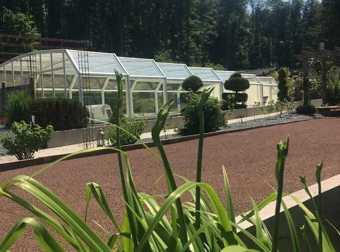 Hotel Logis Domaine Du Moulin 4*