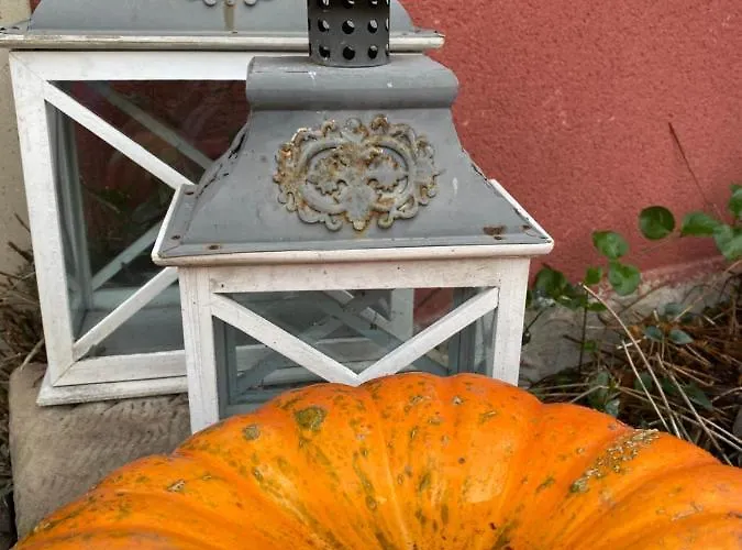 Logis Domaine Du Moulin Hotel Saint-Avold