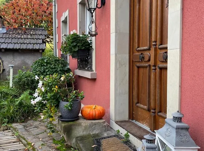 Logis Domaine Du Moulin Hotel